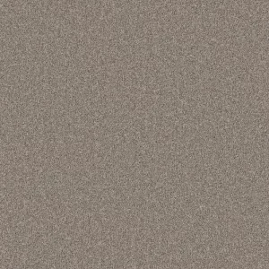 Primo Naturals Carpet - Image 11