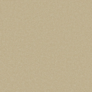 Primo Plus Carpet - Image 3