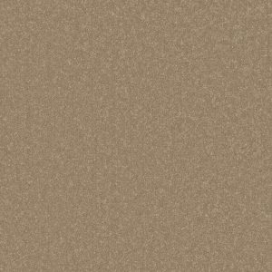 Primo Plus Carpet - Image 4