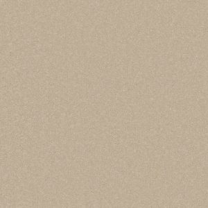Primo Plus Carpet - Image 5