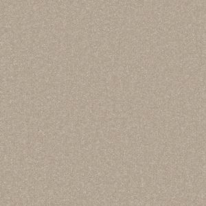 Primo Plus Carpet - Image 6