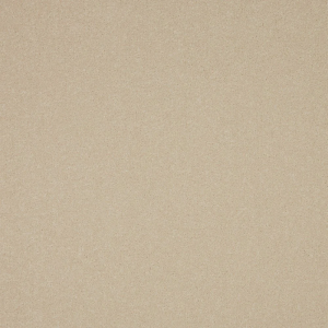 Primo Plus Carpet - Image 7