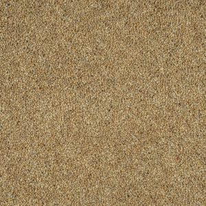 Woodland Heather 55oz Twist Deluxe Carpet - Image 7