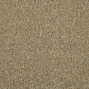 Apollo Elite Carpet - Image 2