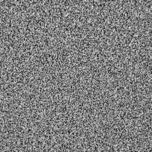 Primo Naturals Carpet - Image 12