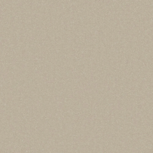 Primo Plus Carpet - Image 10