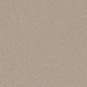 Primo Plus Carpet - Image 13