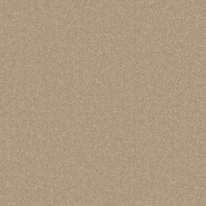 Primo Plus Carpet - Image 15
