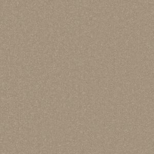 Primo Plus Carpet - Image 16