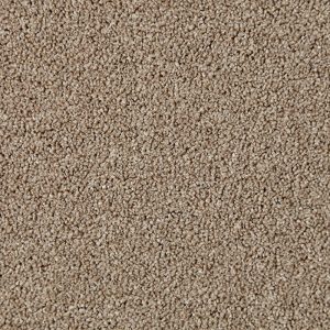 Primo Naturals Carpet - Image 11