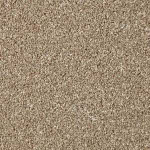 Primo Naturals Carpet - Image 4