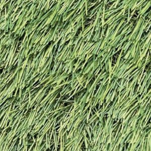Augusta Artificial Grass