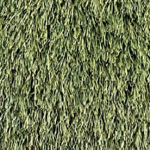 Cypress Point Aritificial Grass
