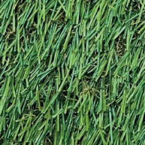 Hampton Aritificial Grass