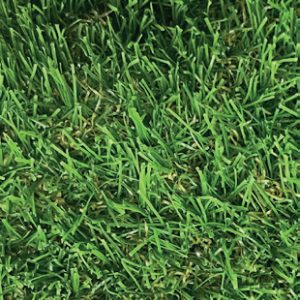 Pebble Beach Aritificial Grass