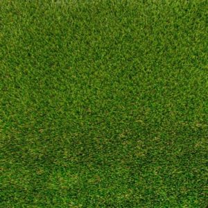Merion Aritificial Grass