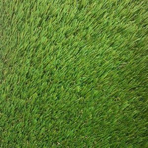 Cape Cabet Artificial Grass