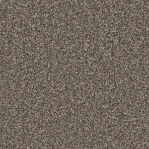 Kingston Classic Carpet - Image 13