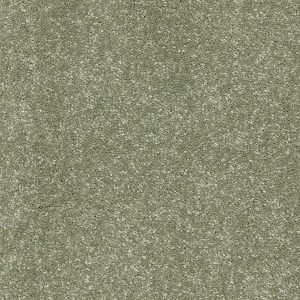 Riva Carpet - Image 9