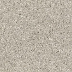 Riva Carpet - Image 6