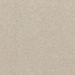 Riva Carpet - Image 4