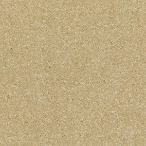 Riva Carpet - Image 12