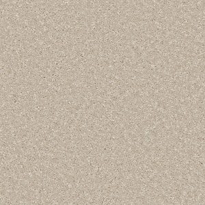Riva Carpet - Image 3