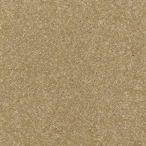 Riva Carpet - Image 16