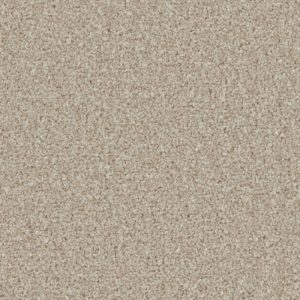 Kingston Classic Carpet - Image 5