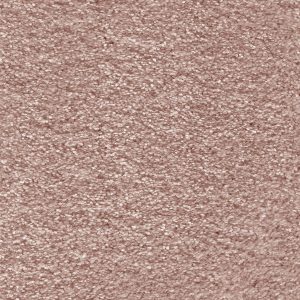 Aurelius - Image 8