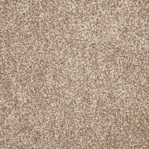 Tribeca Carpet - Image 6