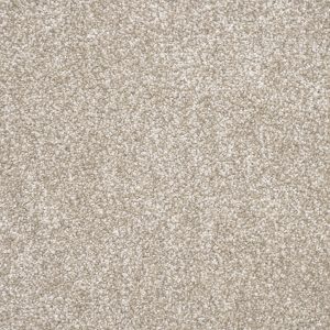 Tribeca Carpet - Image 7