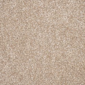 Tribeca Carpet - Image 4