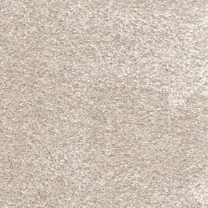 Aurelius - Image 2