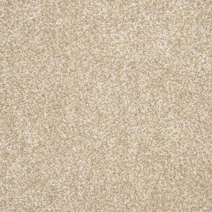 Tribeca Carpet - Image 5