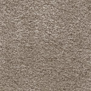 Aurelius - Image 7