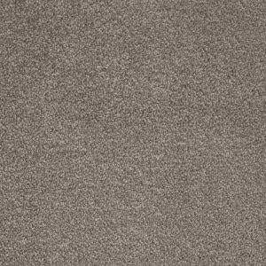 Septimus - Image 8