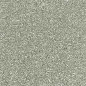 Surprise - Image 2