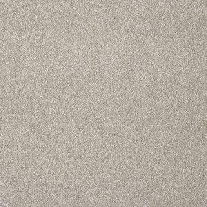 Subtlety - Image 7