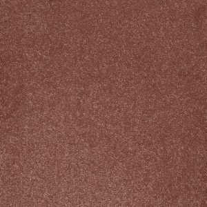 Aries Invictus Carpet