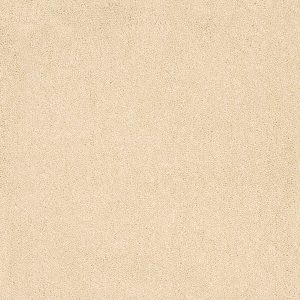 Aries Invictus Carpet