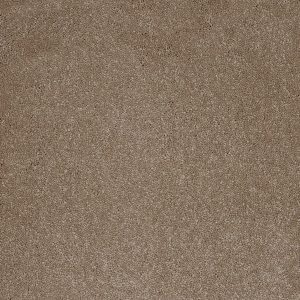 Aries Invictus Carpet - Image 12