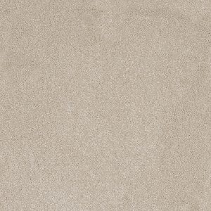 Aries Invictus Carpet - Image 11