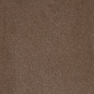 Aries Invictus Carpet - Image 9