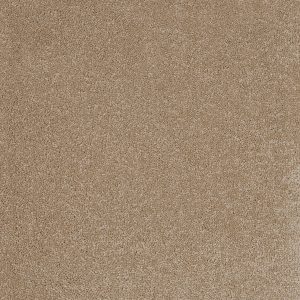 Aries Invictus Carpet