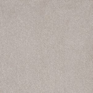 Aries Invictus Carpet