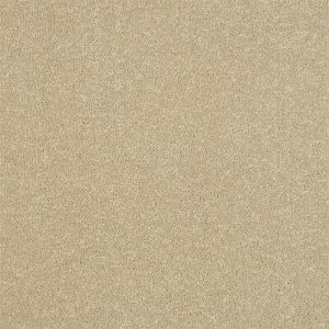 Stainfree Ultra - Image 4