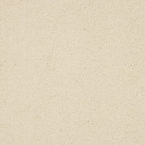 Velvet Dreams - Image 4