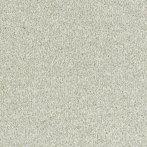 Stainfree Sophisticat - Image 5