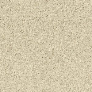 Stainfree Sophisticat - Image 4